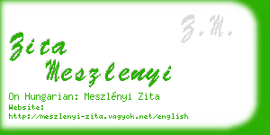 zita meszlenyi business card